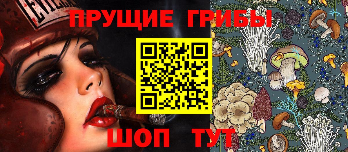 Ступино  Псилоцибиновые грибы ЛСД  купить наркотики сайты  Вход с VPN 