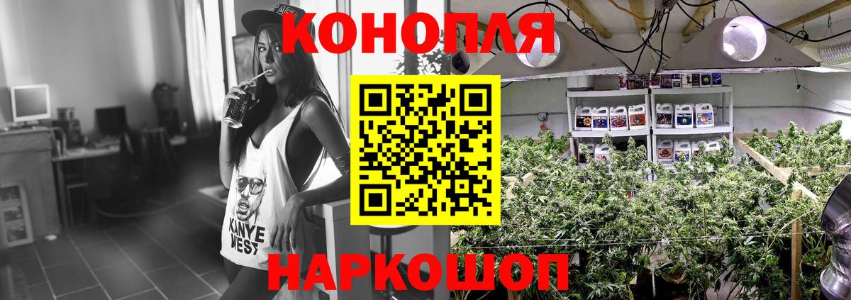 Бошки марихуана ГИДРОПОН  Каннабис THC 21%  Ступино  Каннабис AK-47  Бошки Шишки White Widow  Вход с VPN 